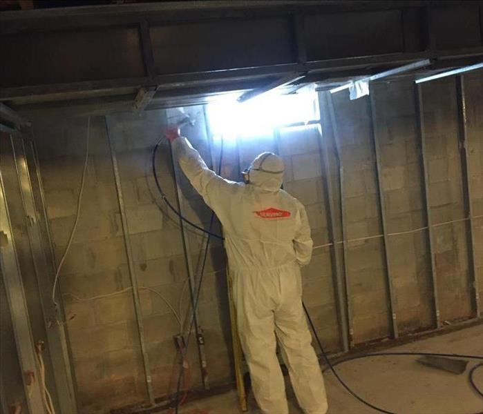 Super Javi ecapsulating a mold job in Marlboro, NJ