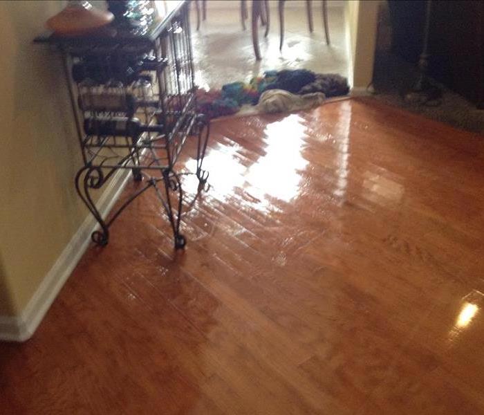 Water Damage in Jackson, NJ