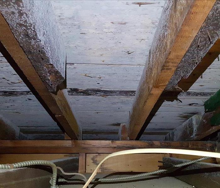 Mold Damage in Belmar, NJ